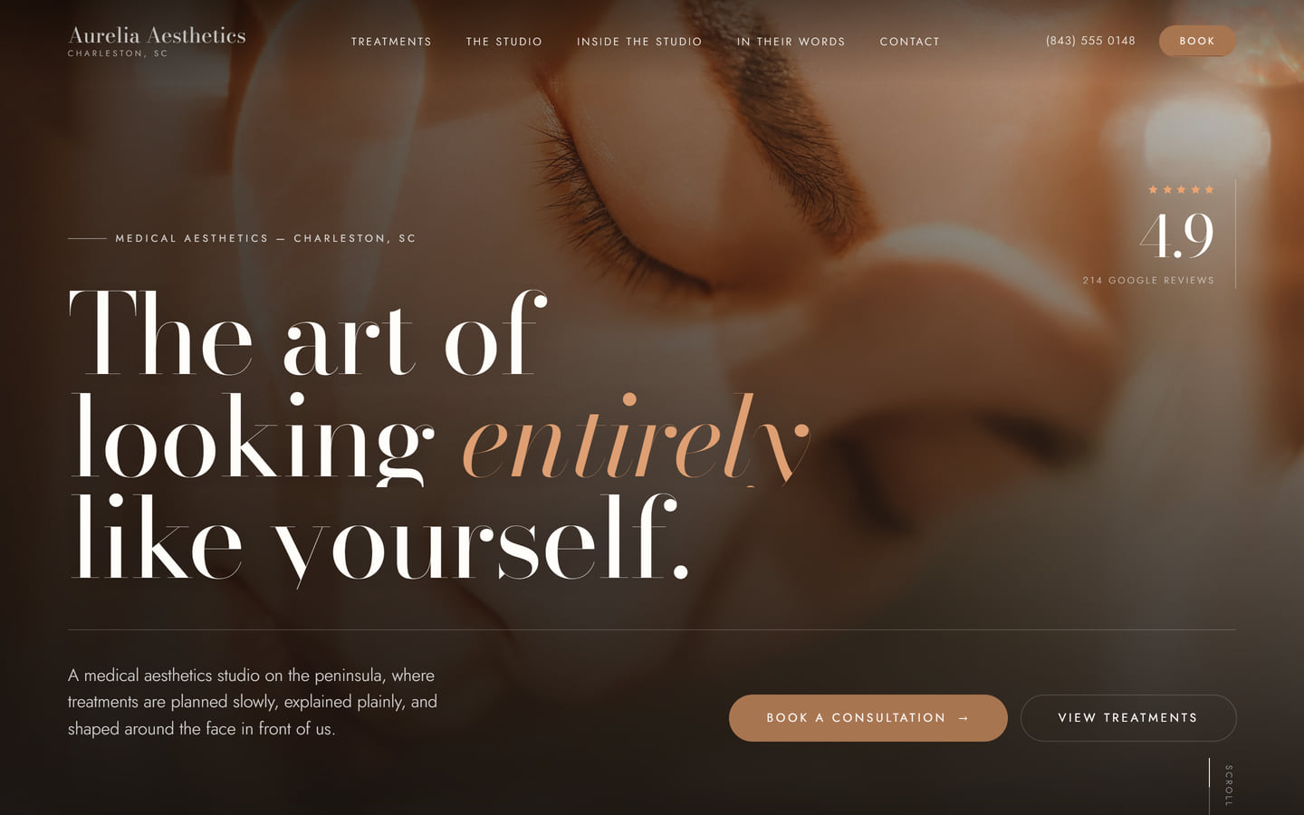 Aurelia Aesthetics concept site